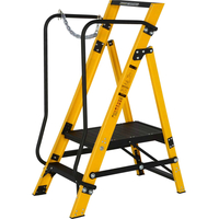 Youngman MEGASTEP Step Ladder 2