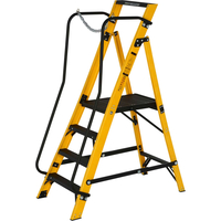 Youngman MEGASTEP Step Ladder 4