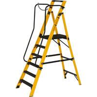 Youngman MEGASTEP Step Ladder 6