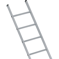 Zarges Industrial Single Ladder 10