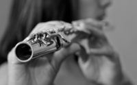 One FREE Private 30-Minute Flute Lesson
