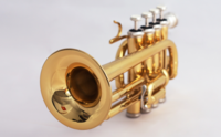 One FREE Private 30-Minute Trumpet Lesson