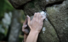 One-Hour Indoor Bouldering Class for Two.