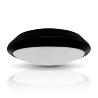 Phoebe LED Bulkhead 10.5W Cool White Melana Oval 100° Diffused Black