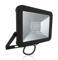 Phoebe LED Floodlight 20W Atlas Cool White 110° Black IP66