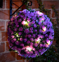 Solalite LED Topiary Ball Solar Mini Rose Purple 28cm