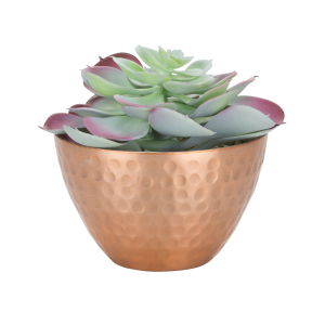 Copper Pot with Succulent - Copper