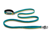 2014 Roamer Leash
