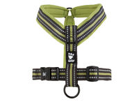 2015 Padded Y Harness