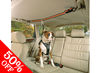 Auto Zip Line & Harness