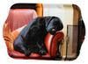 Sleeping Lab Trinket tray
