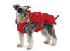 Stormguard Dog Coat