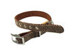 Tweed Dog Collar with Suede Back