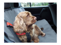 Waterproof Car Seat Cover