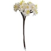 White Sun Daisies 12 Pack