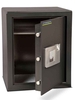 Burton Biosec Home Fingerprint Safe size 4