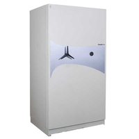 Chubbsafes Data Plus Fire Data Safe 120mins DP5