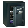 Sentry Electronic Security TC8-331 Safe