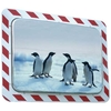 Vialux 858-AB Frost-Free Stainless Steel Traffic Mirror 800x600