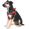 Ancol Nylon Padded Dog Harness Red 67-82cm