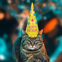 Cat Party Hat
