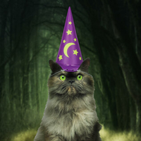 Cat Wizard Hat