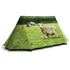FieldCandy Tent: Animal Farm