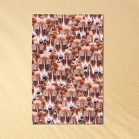 Pet Beach Face â Personalised Pet Towel