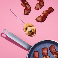 Pet Fresh Faceâ¢ â Personalised Pet Air Freshener (Set of 3 Bacon)