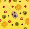 Pet Fresh Faceâ¢ â Personalised Pet Air Freshener (Set of 3 Fruit Salad)