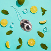 Pet Fresh Faceâ¢ â Personalised Pet Air Freshener (Set of 3 Mojito)