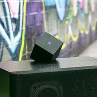 The Vamp (Black)