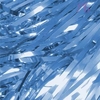 Blue Shimmer Curtain (6ft)