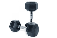 12kg Dumbbells (Pair)