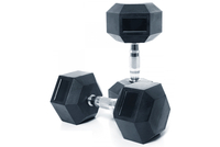 14kg Dumbbells (Pair)