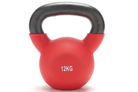 JTX 12kg Neoprene Covered Kettlebell