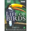 Life Of Birds DVD