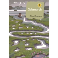 Saltmarsh