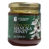 Littleover Apiary