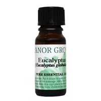 Manor Grove Eucalyptus Pure Essential Oil
