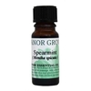 Manor Grove Spearmint Essential Oil 10ml