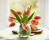 Small Coral Tulip Bowl Arrangement