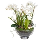 Spring Bulb and Orchid Bowl