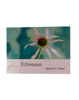 Understanding Echinacea - Large