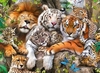 Big Cat Nap XXL 200pc Jigsaw Puzzle