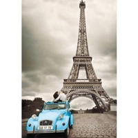 Eiffel Tower,  Paris - Black & White Collection Jigsaw Puzzle