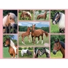 Horse Heaven,  XXL 300pc Jigsaw Puzzle