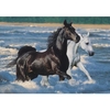 Horses at The Seaside,  1500pc Jigsaw Puzzle