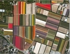 Tulip Fields,  Netherlands 500 Piece Awesome Aerial Jigsaw Puzzle