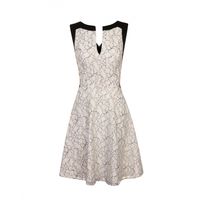 Eniko Lace Skater Dress Cream with Black
